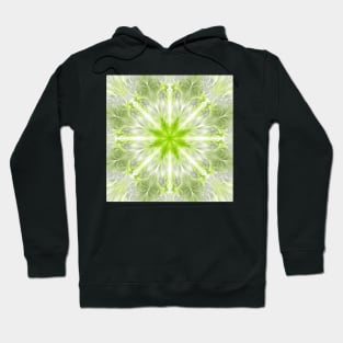 Fractal flower Hoodie